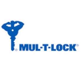 Купить Замок на КПП Mul-T-Lock